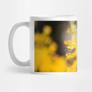 Marigold and Honey Mug